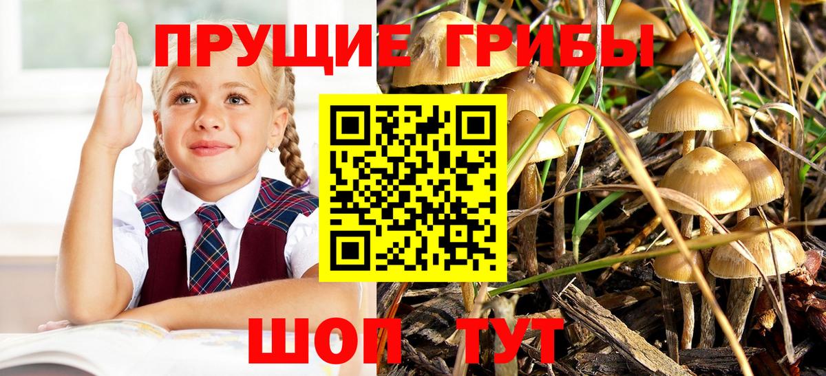 Галлюциногенные грибы Psilocybe  цены наркотик  Вход с VPN  Ярцево  Псилоцибиновые грибы ЛСД 
