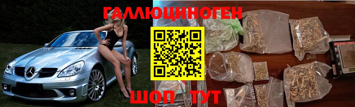 Галлюциногенные грибы Cubensis Ярцево